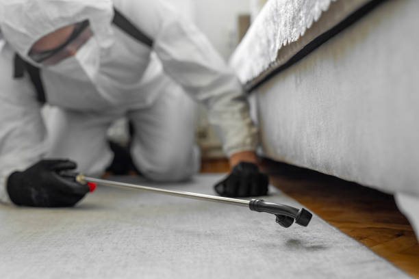 Professional Ant Control technician working in Home Gardens, CA