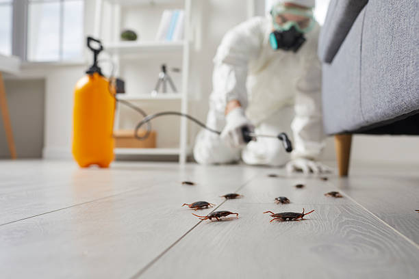 Trusted Fumigation Services service in Home Gardens, CA - Nex Pest Control