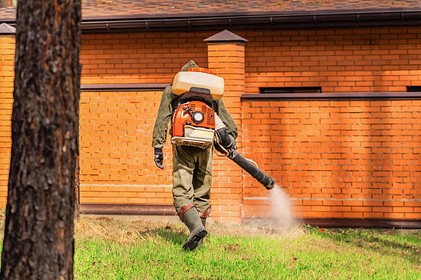 Trusted Bed Bug Control service in Home Gardens, CA - Nex Pest Control